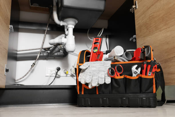 Best Emergency Plumber  in Frankton, IN