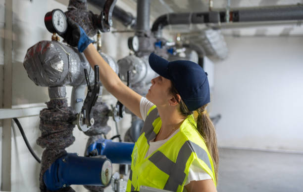 Best Same-Day Plumbing Service  in Frankton, IN