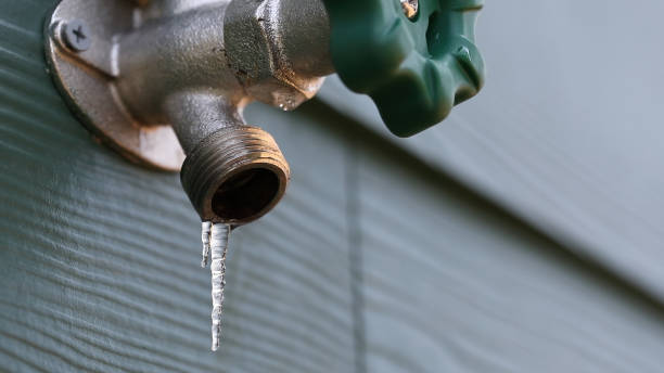 Best Local Plumber Services  in Frankton, IN