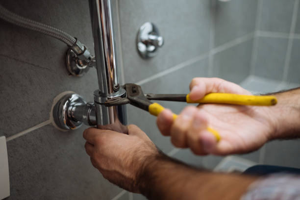 Best Affordable Plumbing Services  in Frankton, IN