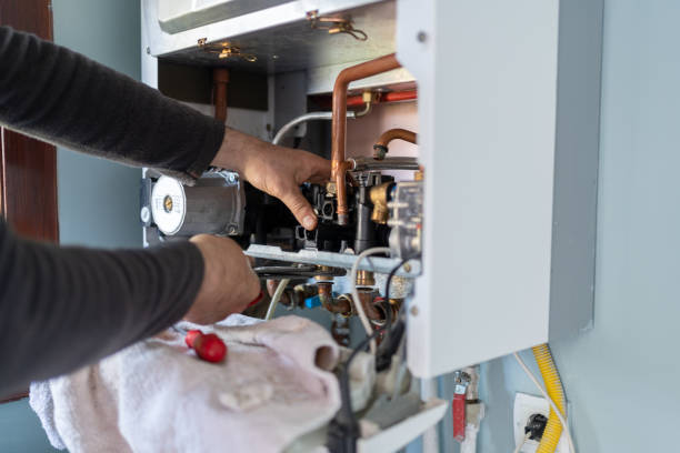 Best Commercial Plumbing Services  in Frankton, IN