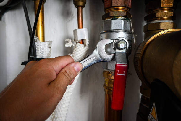 Professional Plumbing in Frankton, IN